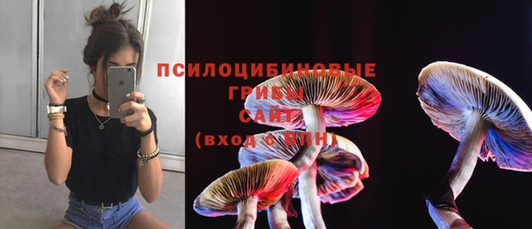 Альфа ПВП Алзамай
