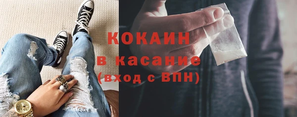 индика Алексеевка