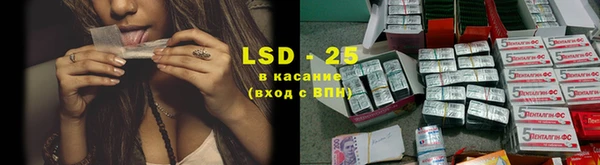 гашик Алексин
