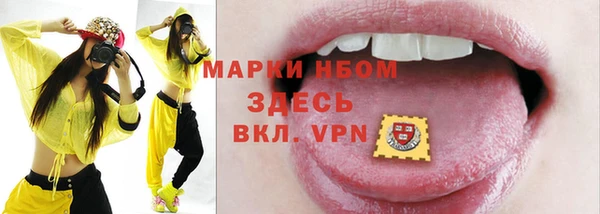 гашик Алексин