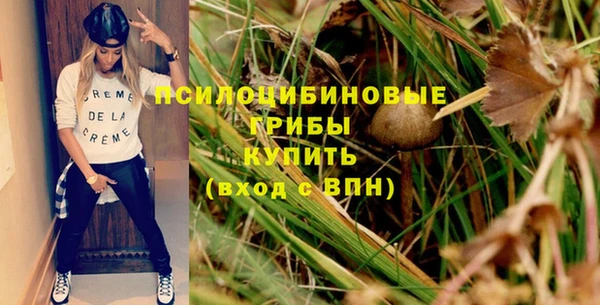 индика Алексеевка