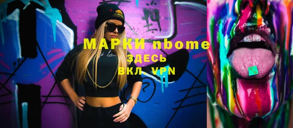 гашик Алексин