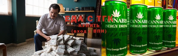 гашик Алексин
